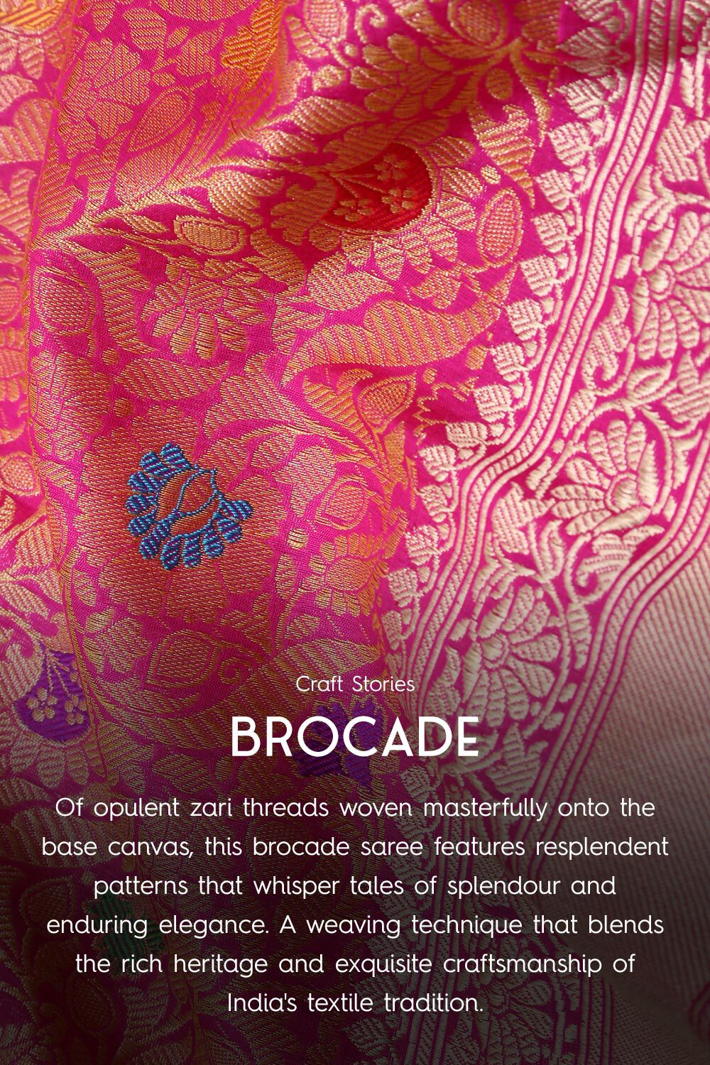 Burnt Orange Cotton Silk Saree with Gold Border